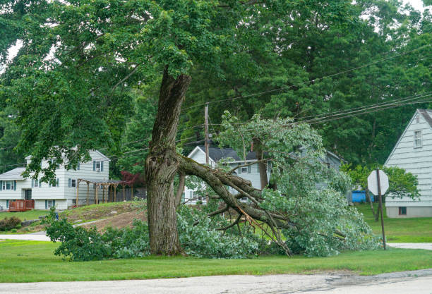  Scottsburg, IN Tree Services Pros